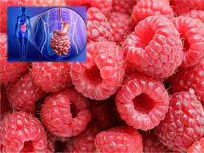 Raspberry