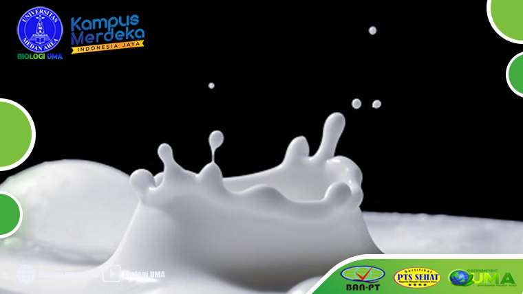 Konsumsi susu