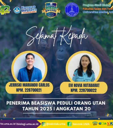 FLYER INSTAGRAM FST UMA(30)